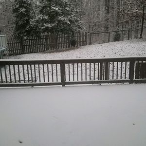 Meet your Posher, Althea